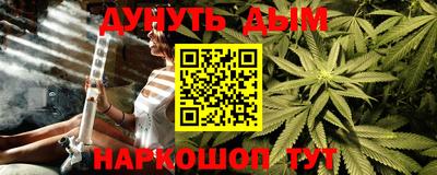 индика Сланцы