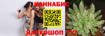 индика Сланцы