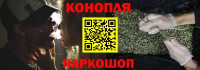 индика Сланцы