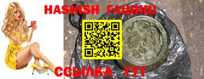 индика Сланцы