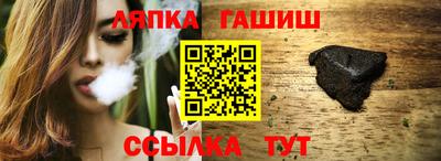 индика Сланцы