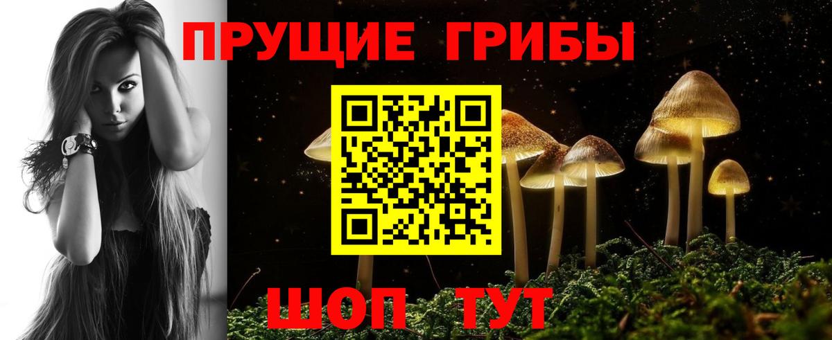 Петропавловск-Камчатский  Псилоцибиновые грибы мухоморы  Вход с VPN 